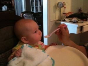 First solid food